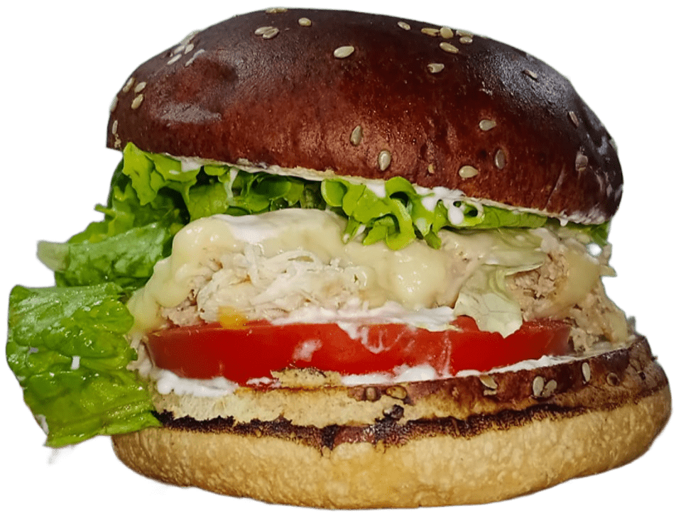 lanche fitness artesanal