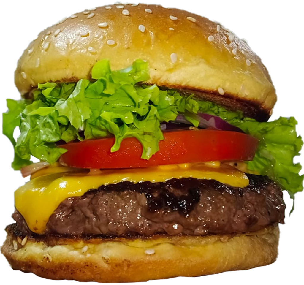 hamburguer artesanal de salada